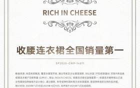 市场地位声明：RICH IN CHEESE 收腰连衣裙全国销量第一
